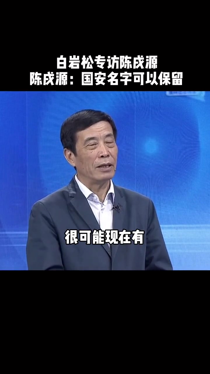 当年白岩松对话陈戌源